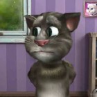 Играть Говорящий кот Том онлайн 