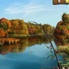 Играть На рыбалку онлайн 